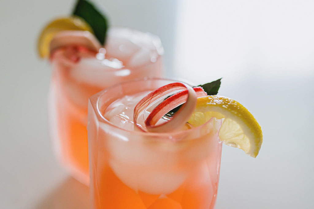 Berry Rhubarb Fizz Infused Cocktail Recipe