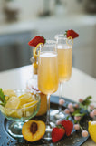 French Mimosa